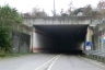 Tunnel Rio Barco