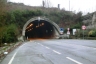 Tunnel Seminario