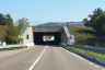 Tunnel Gaggio 1