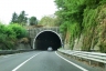 Candida Tunnel