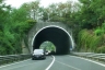 Tunnel de Fossi