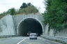 Tunnel Montechiuppo