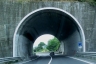 Tunnel de Parolise