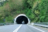 Salza Irpina Tunnel