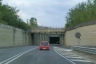 Parco della Reggia Tunnel