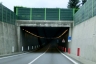 Tunnel Carle