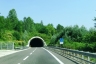 Valleversa Tunnel