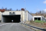 Paradiso Tunnel