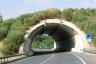 Lumbato 3 Tunnel