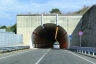 Tunnel de Scamardi