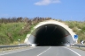 Tunnel Timpone Tondo 2