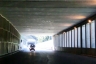 Tunnel Barbona