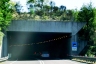 Tunnel de Villanova
