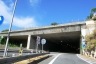 Villetta Tunnel