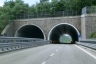 Tunnel Piffarino