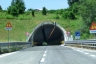 Bartolomeo Tunnel