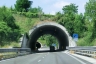 Campo d'Olmo Tunnel