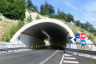 Le Silve 1 Tunnel