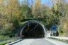 Monticelli Tunnel