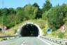 Tunnel de Paganello