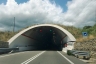 Tescino Tunnel