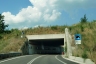 SS80var Tunnel No. 2