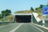 SS80var Tunnel No. 3