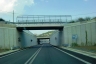 Tunnel Tempio