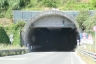Monte Greco Tunnel