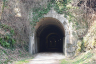 Tunnel de Leda