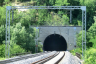 Tunnel Costa dei Rosi