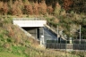 Tunnel Crocioni Süd