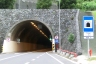 Cruz Tunnel