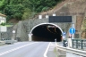 Faial Cortado Tunnel