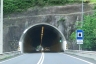 Guarda Tunnel