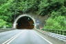 Pinheiro Tunnel