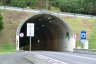 Rocha do Navio Tunnel