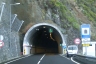 Fajã do Manuel Tunnel