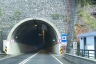 Tunnel Do Arco