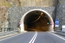 Tunnel de Dotour