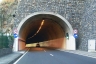 Gesteiro Tunnel