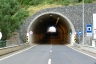 Tunnel Raposeira
