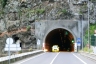 Meia Legua Tunnel