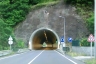 Saramago Tunnel