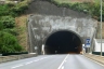 Tunnel de Nogueira