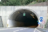 Pomar Tunnel