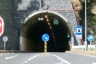 Curral das Freiras Tunnel