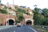 Abegoaria West Tunnel