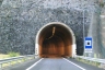 Tunnel der Ausfahrt Fazenda