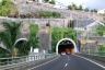 Marmeleiros Tunnel